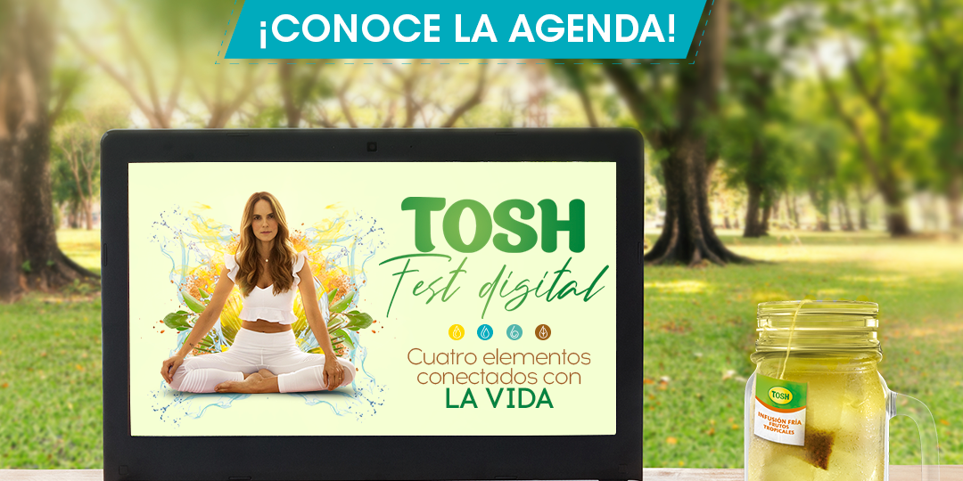 07-24-PostToshFest-Tosh-v1 (4)